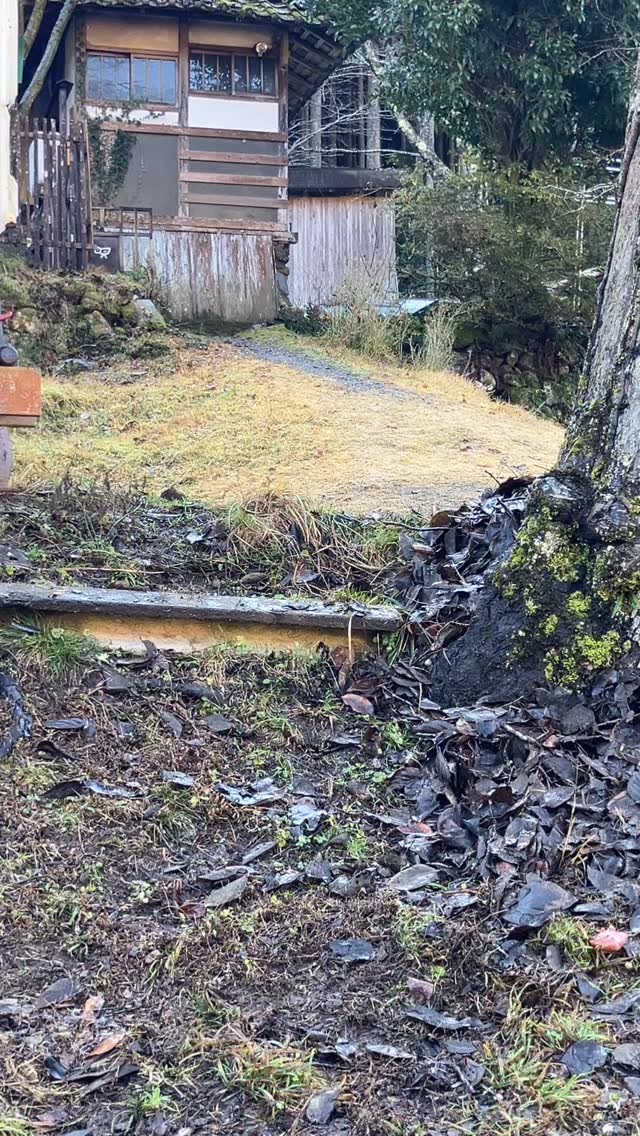 あけましておめでとうございます。

今年もどうぞよろしくお願いします。