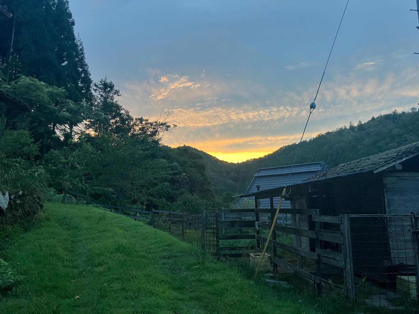 9／８、クリが亡くなりました。
11年と６ヵ月、私たちを支えてくれました。
さいごまで、うろたえることなく、おびえることなく、絶望することなく、生きていました。

たくさんの方々にクリを可愛がっていただき、本当に感謝しています。